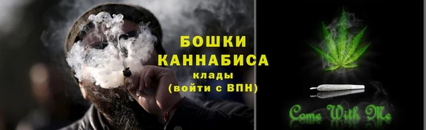соль ск Верхний Тагил