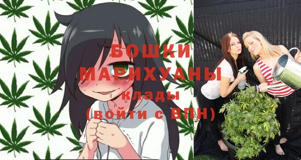 соль ск Верхний Тагил