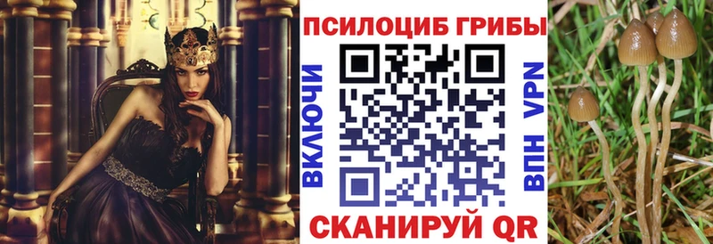 Псилоцибиновые грибы прущие грибы  Купить где  Белинский 
